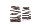 Valve Springs, 1.290" Beehive